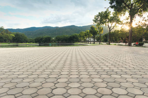 Best Local Driveway Pavers  in Mineral Wells, TX