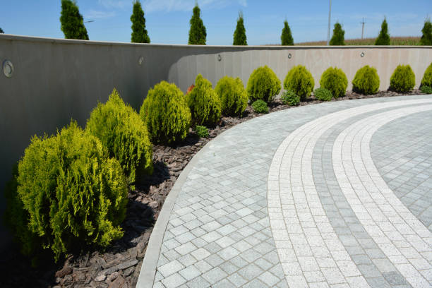 Best Decorative Driveway Pavers  in Mineral Wells, TX